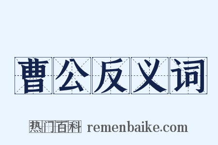 曹公反义词是什么意思的图片